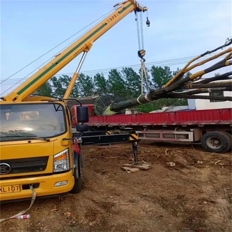 黄州100吨吊车租赁费用怎么算？3大关键因素+省钱技巧全解析